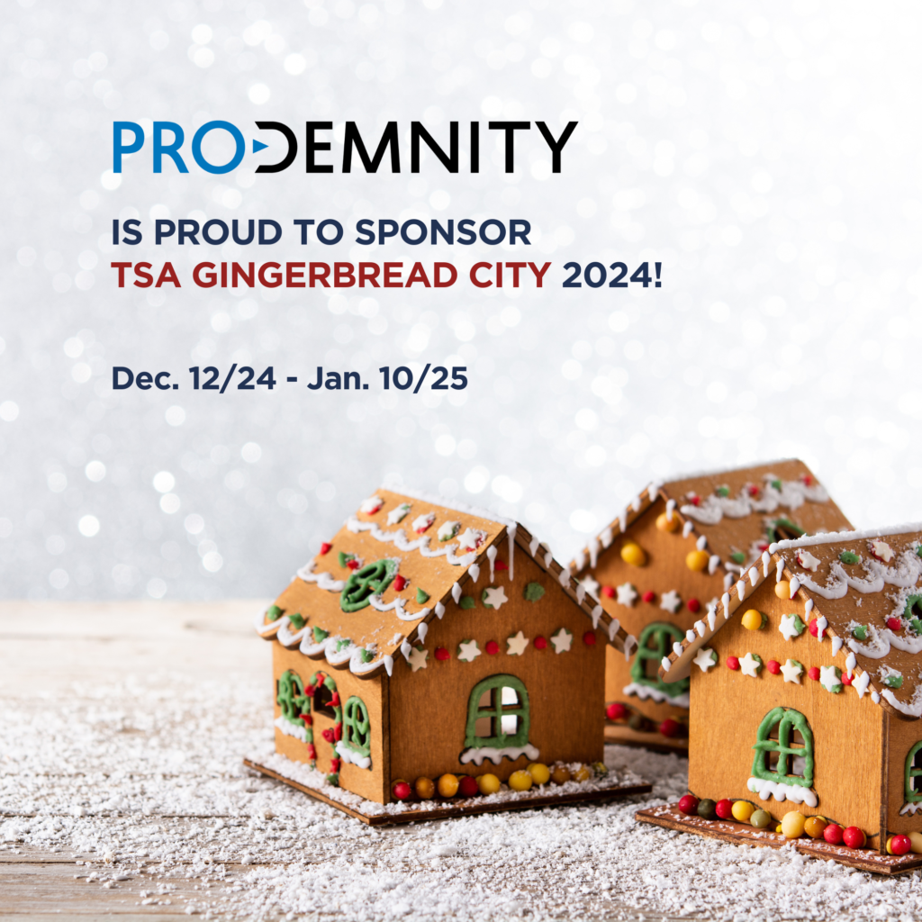 Pro-Demnity Sponsors TSA Gingerbread City 2024!  