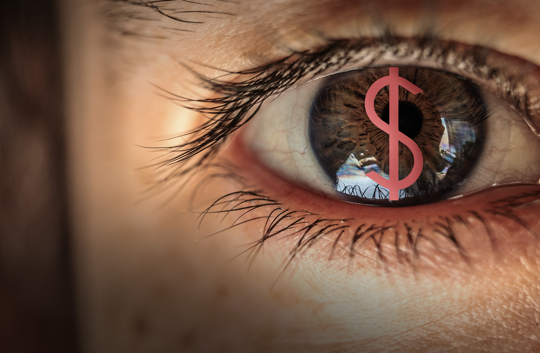 A close up of an eye with a dollar sign superimposed upon the pupil.